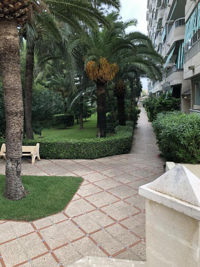 Apartamento Parque 2 Gandía Playa de Gandía Exterior foto